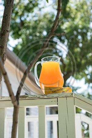 HoneyB_F145-LR