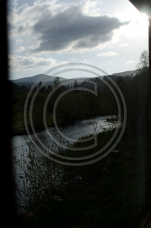 Gaines_F0534