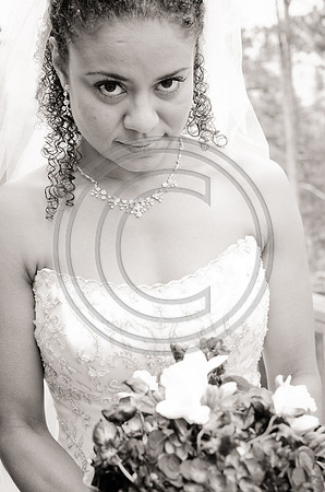 Gaines_F0157