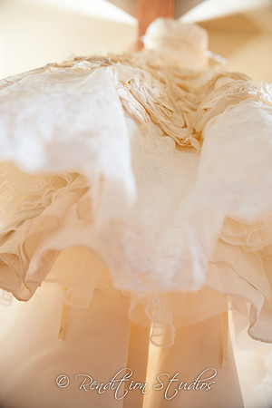 Bull_F045