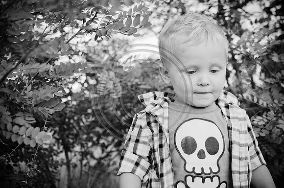 Woodhouse_F033