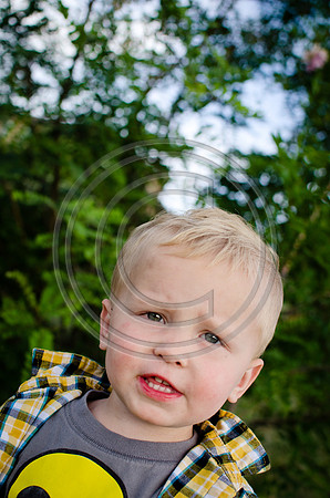 Woodhouse_F038