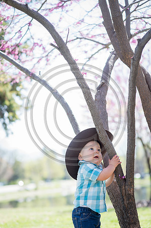 Zobec_F-80