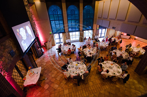 Pheasant_F0287