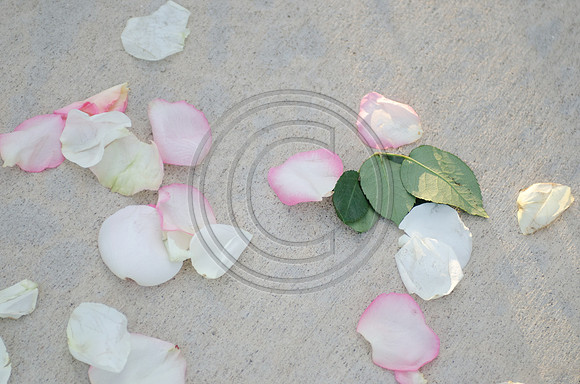 Bland_F00537