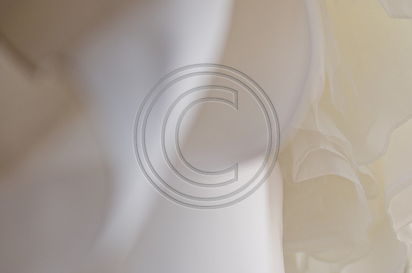 Schilling_F0008