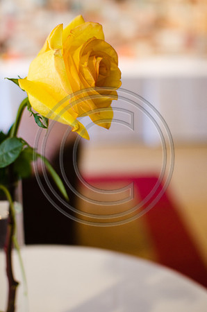 Schilling_F0347