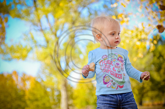 Wilcox_F00084