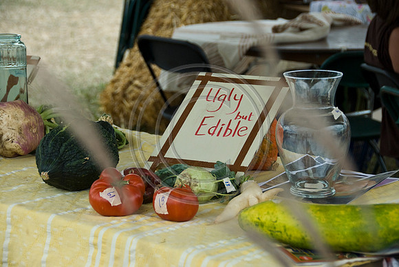 Sustainable Living Fair_20090920_0007