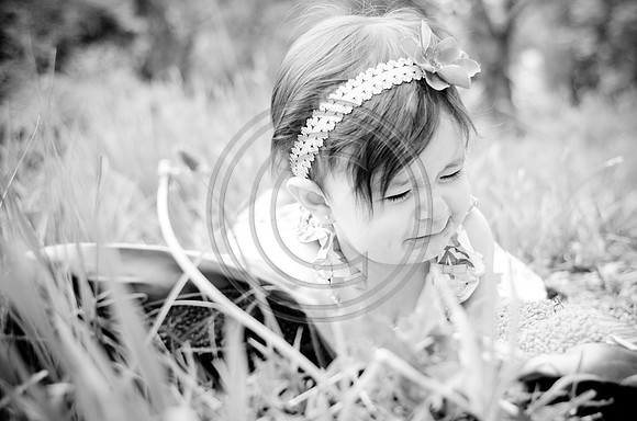Stapp_F095