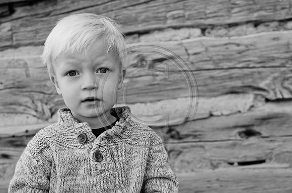 vandevelde_F002-2012