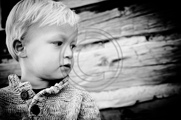 vandevelde_F006-2012