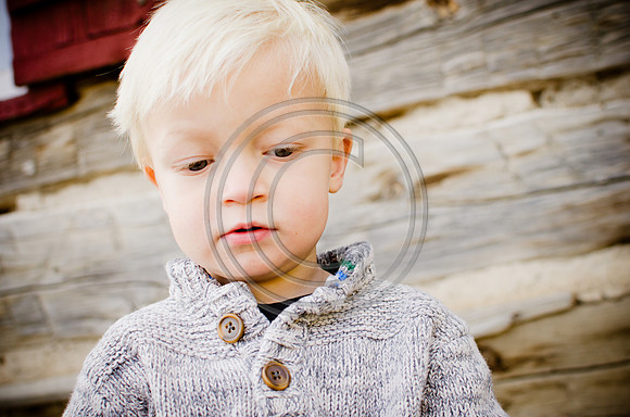 vandevelde_F005-2012