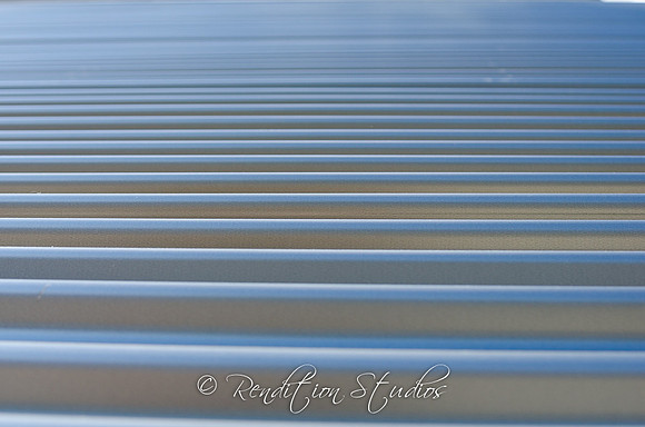 RosefamilyMED_F049-LR