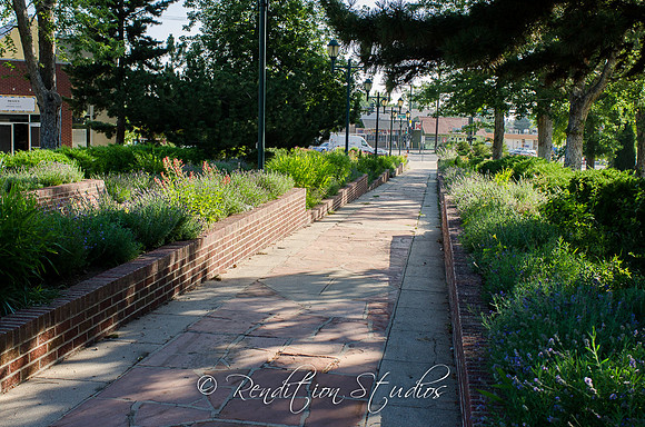 RosefamilyMED_F006-LR