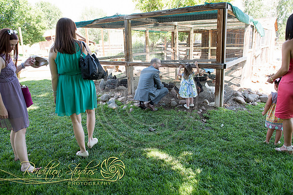 McAlexander_F337-LR