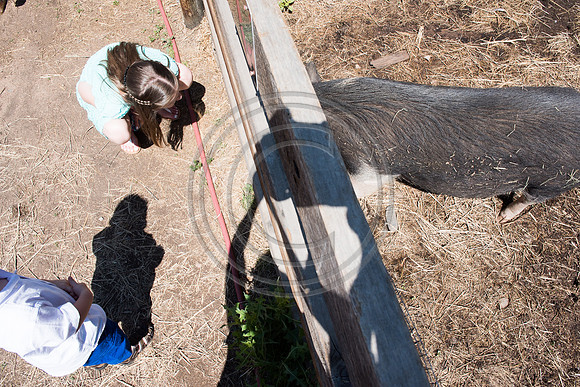 McAlexander_F352-LR