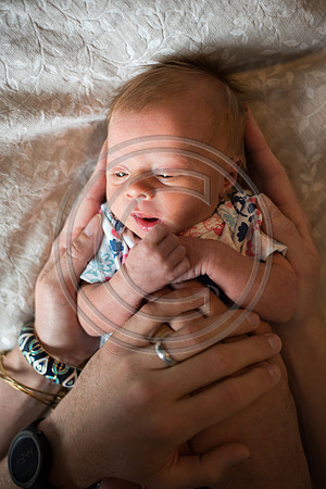 Steinke_F050