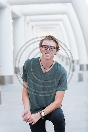 Schaeffer_F003