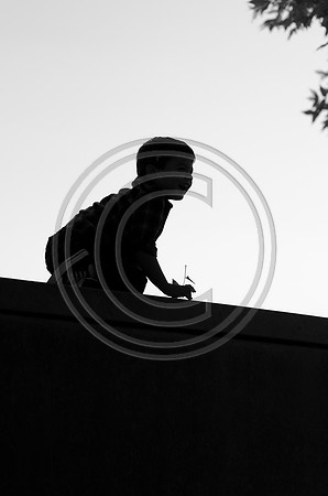 Sapien_F119