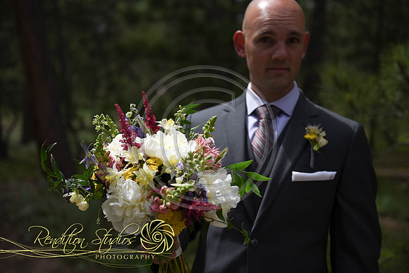 Stephens _W262-LR