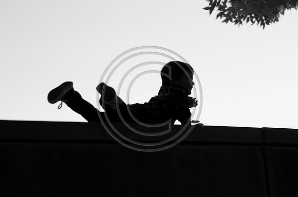 Sapien_F122