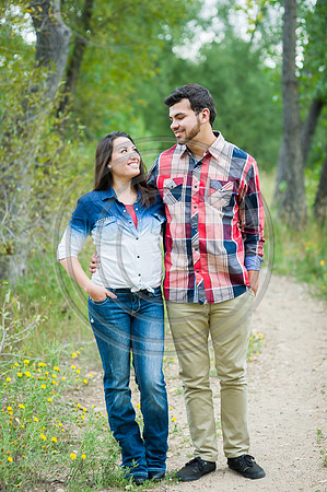 Shipley_F046