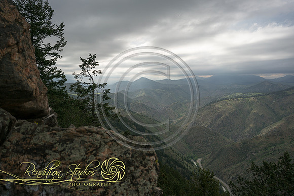 Stephens _W338-LR