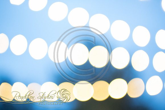 Stephens _W597-LR
