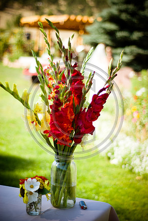 Mohseni_F00330