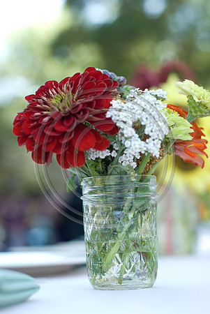 Mohseni_F00334