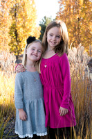 Metzger2015-11