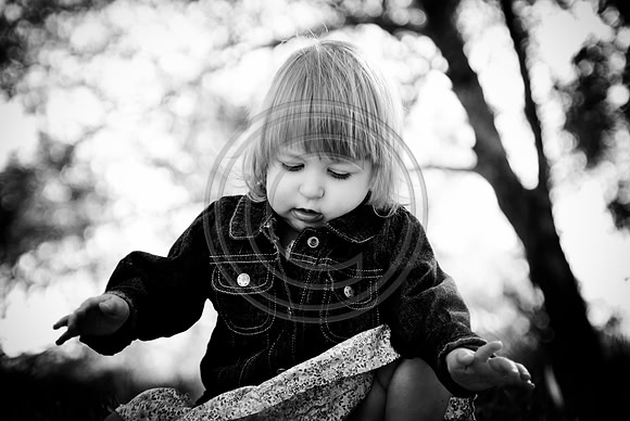Lammers_F00027