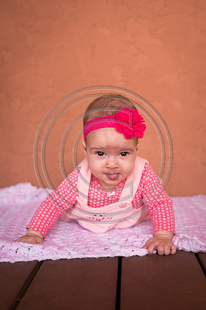 Patterson_F066
