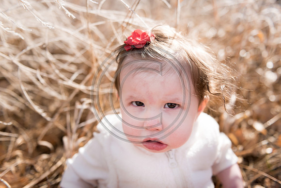 Leppke_F049