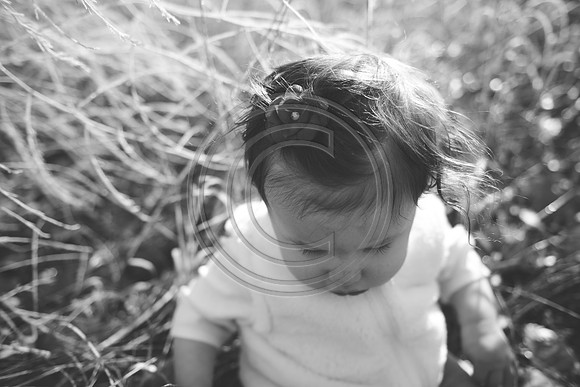 Leppke_F048