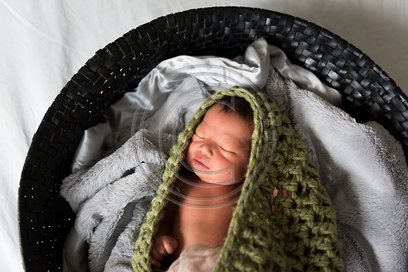 Lee_F102