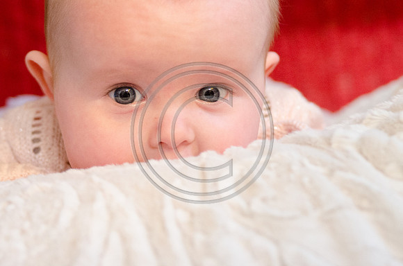 McNaughton_F029