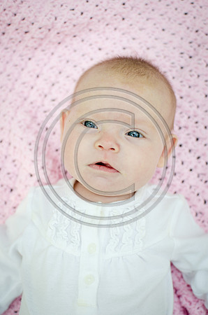 Nelson_F048