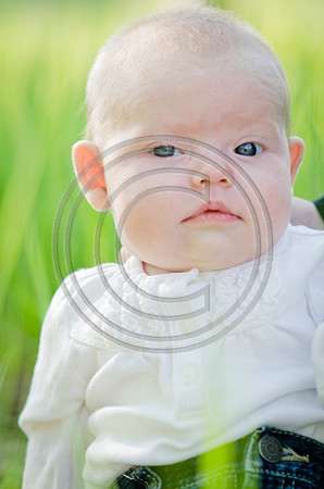 Nelson_F010
