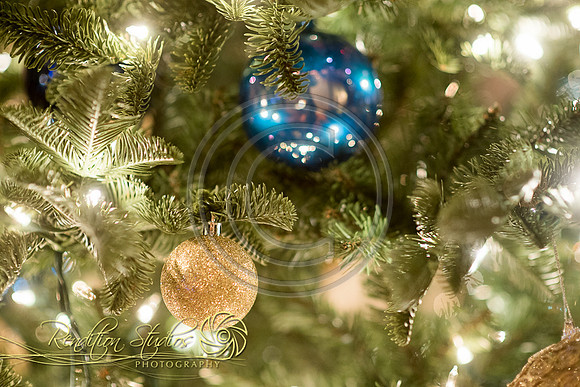Holiday2016_F013-LR