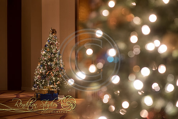 Holiday2016_F012-LR