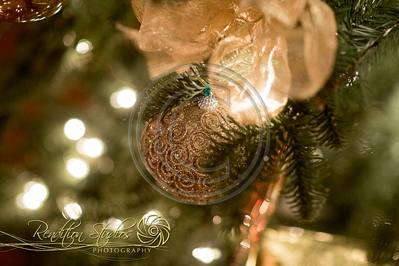 Holiday2016_F014-LR