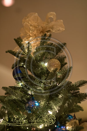 Holiday2016_F010-LR