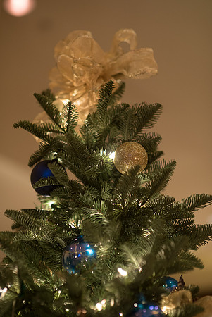 Holiday2016_F010-LR