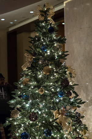 Holiday2016_F351-LR