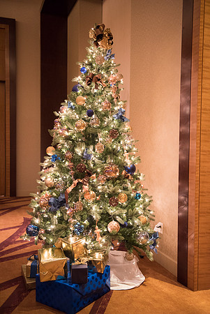 Holiday2016_F009-LR