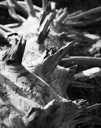 CO_Hanging Lake_09012009_00037