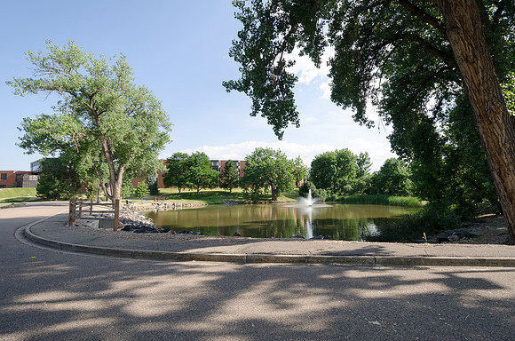 Teller_109