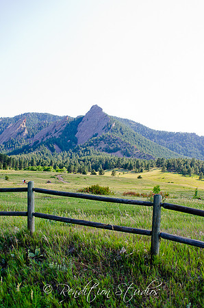 Guyer_F0222